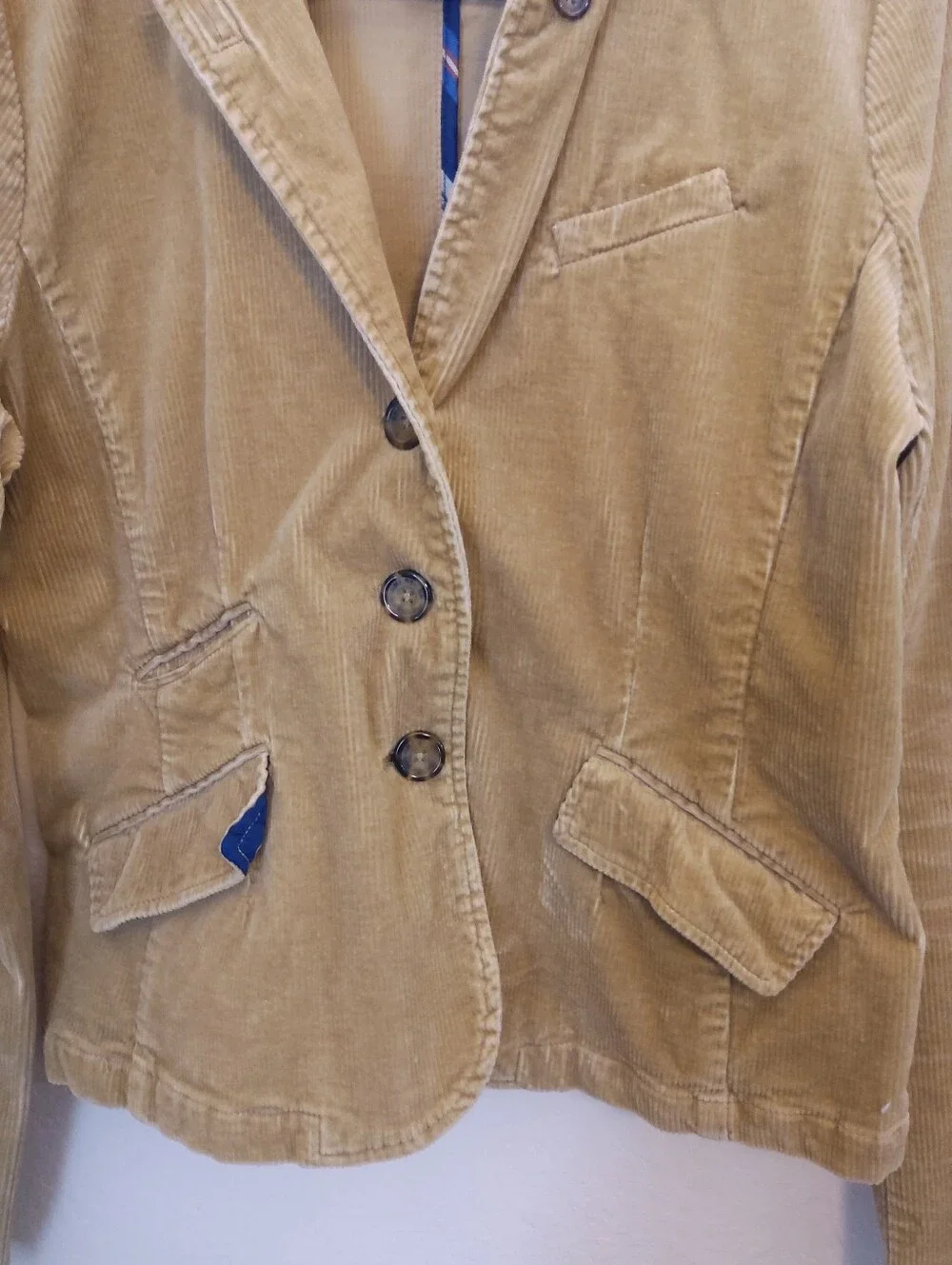 American Eagle Outfitters american eagle